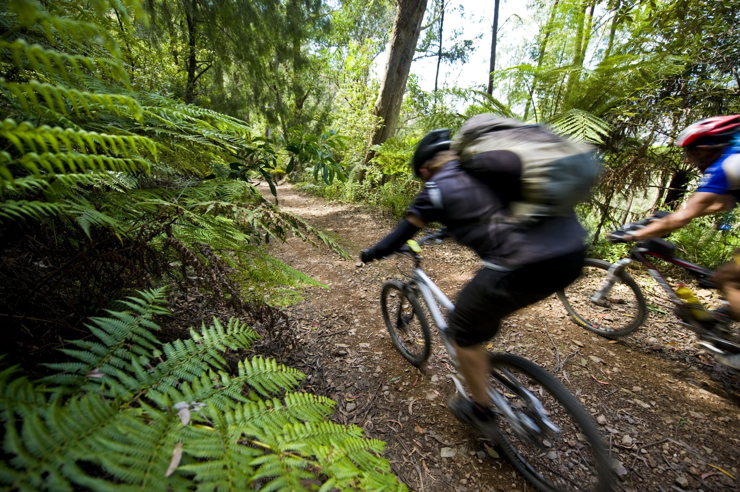 Cycling MTB mountains to the sea