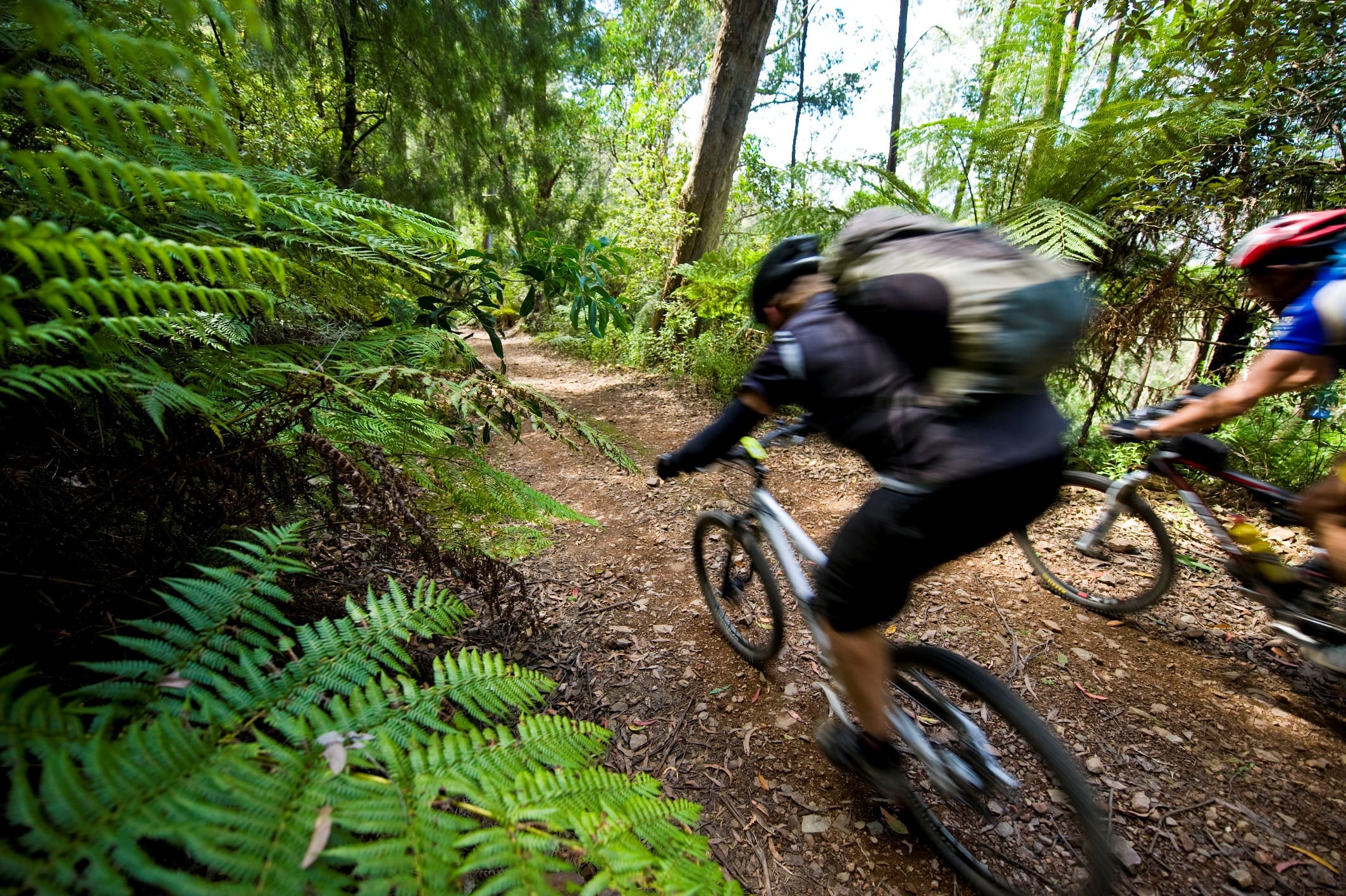 Cycling mogo trails batemans bay staying at Clyde View Holiday Park cabin accommodation